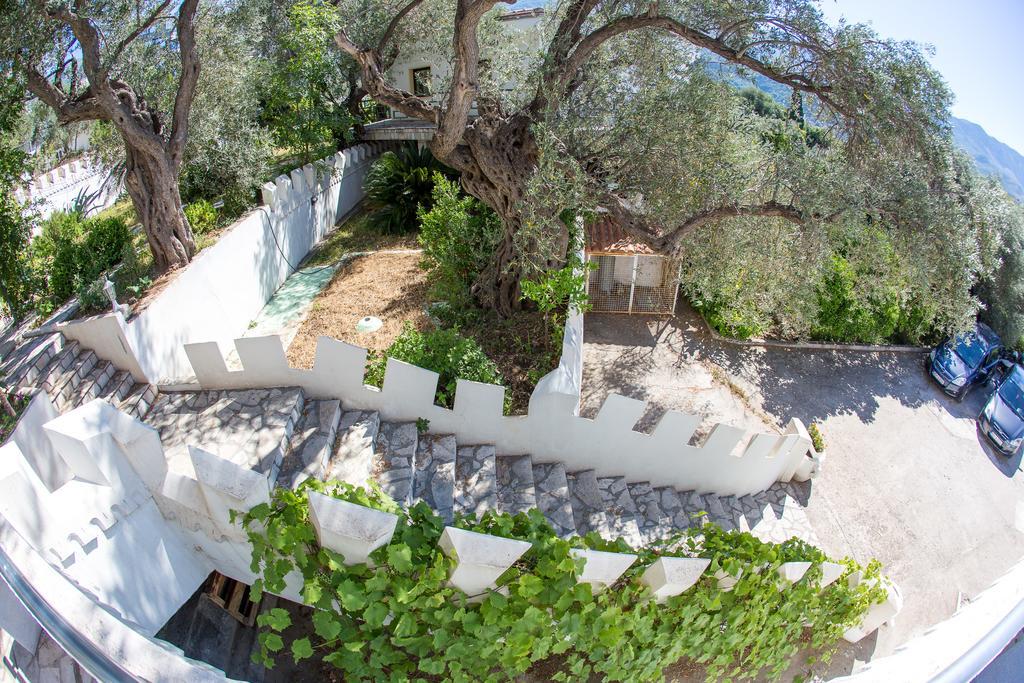 The Turtles Garden Villa Bečići Exterior foto